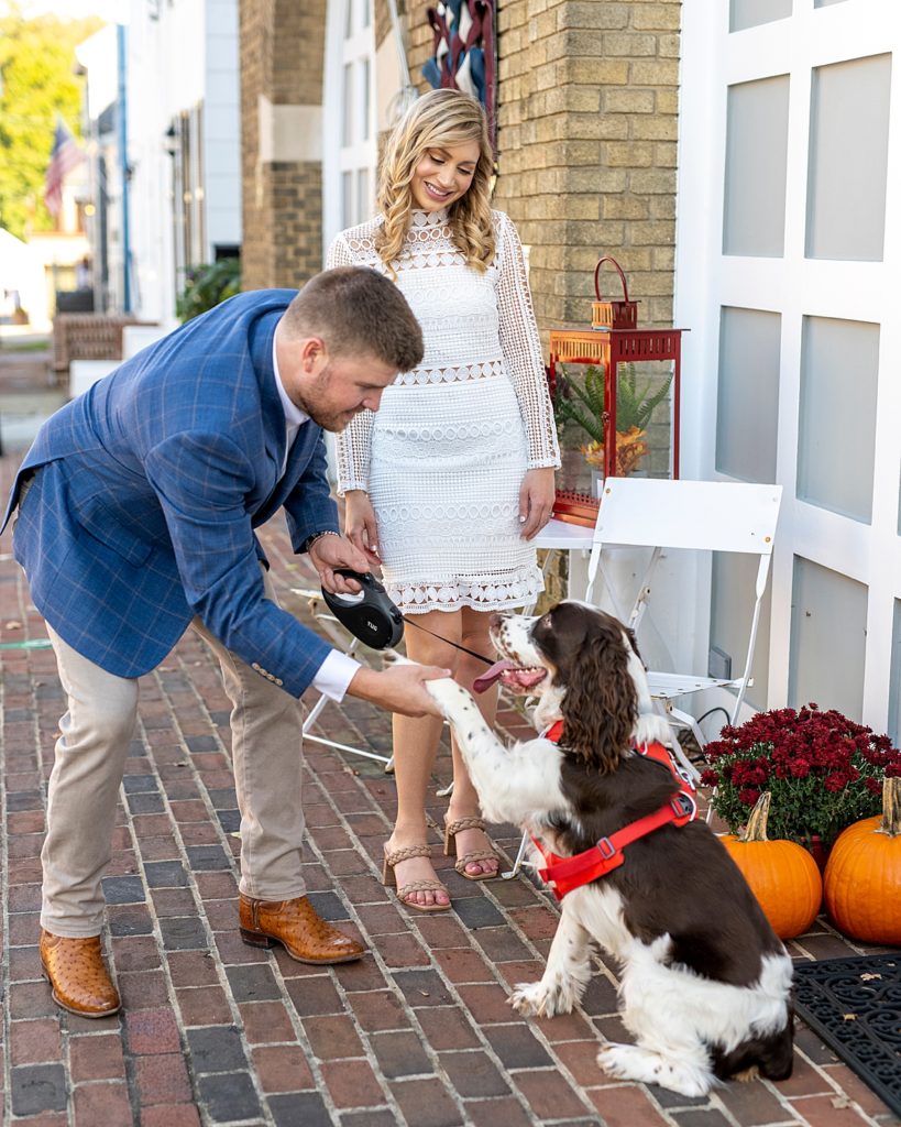 Dog does trick for engagement session in Annapolis by Annapolis Wedding Photographer Nadine Nasby Photography.