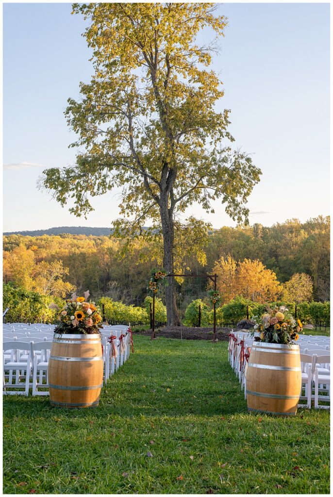 Wedding ceremony at Cana Vineyards | Wedding venues near DC