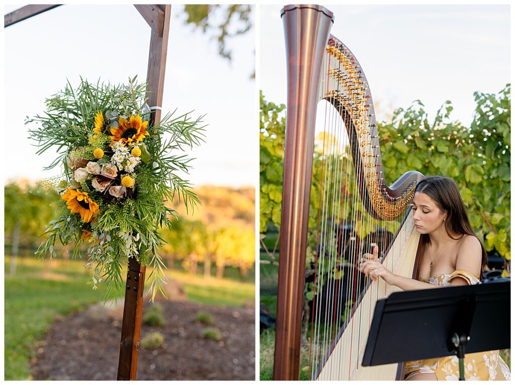 Harpist plays at outdoor wedding | Cana Vineyards